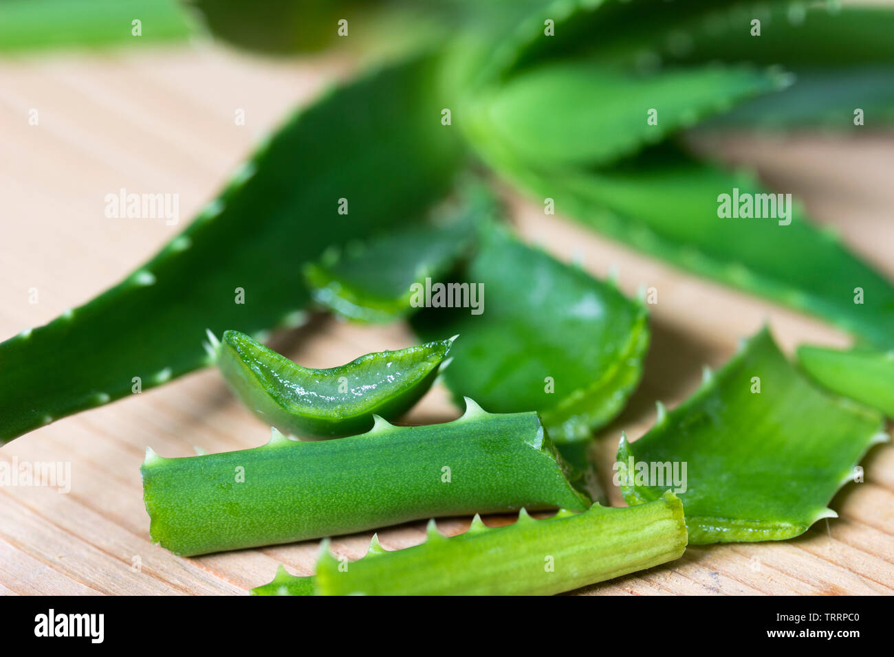 Il verde aloe vera impianto su una superficie in legno - close up Foto Stock