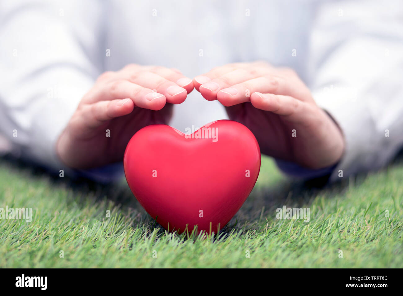 Cuore rosso su erba verde coperta da mani. Assicurazione sanitaria o concetto di amore Foto Stock