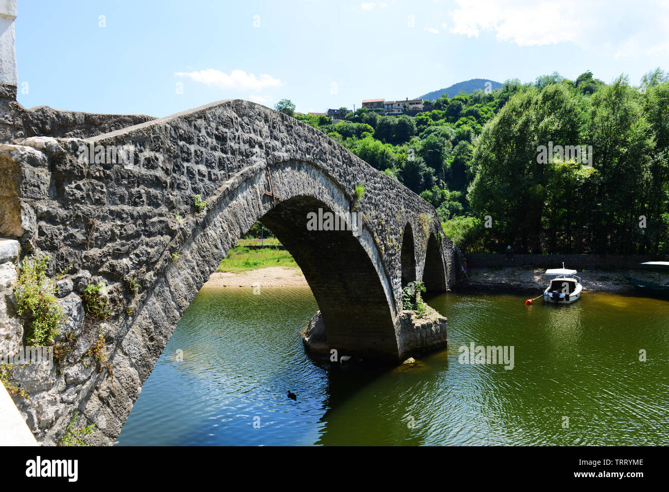 Il fiume ponte Crnojevića a Rijeka Crnojevića, Montenegro. Foto Stock