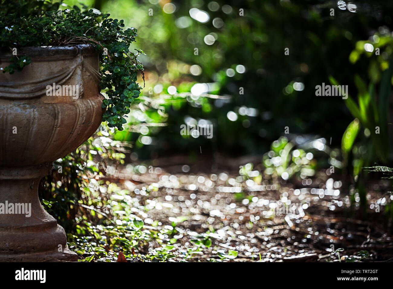 Giardino privato con bel sentiero. Foto Stock