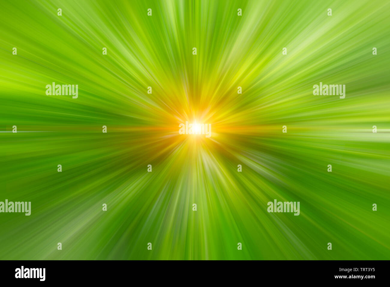 Sfumatura di colore verde veloce zoom Velocità astratta in movimento per lo sfondo Foto Stock