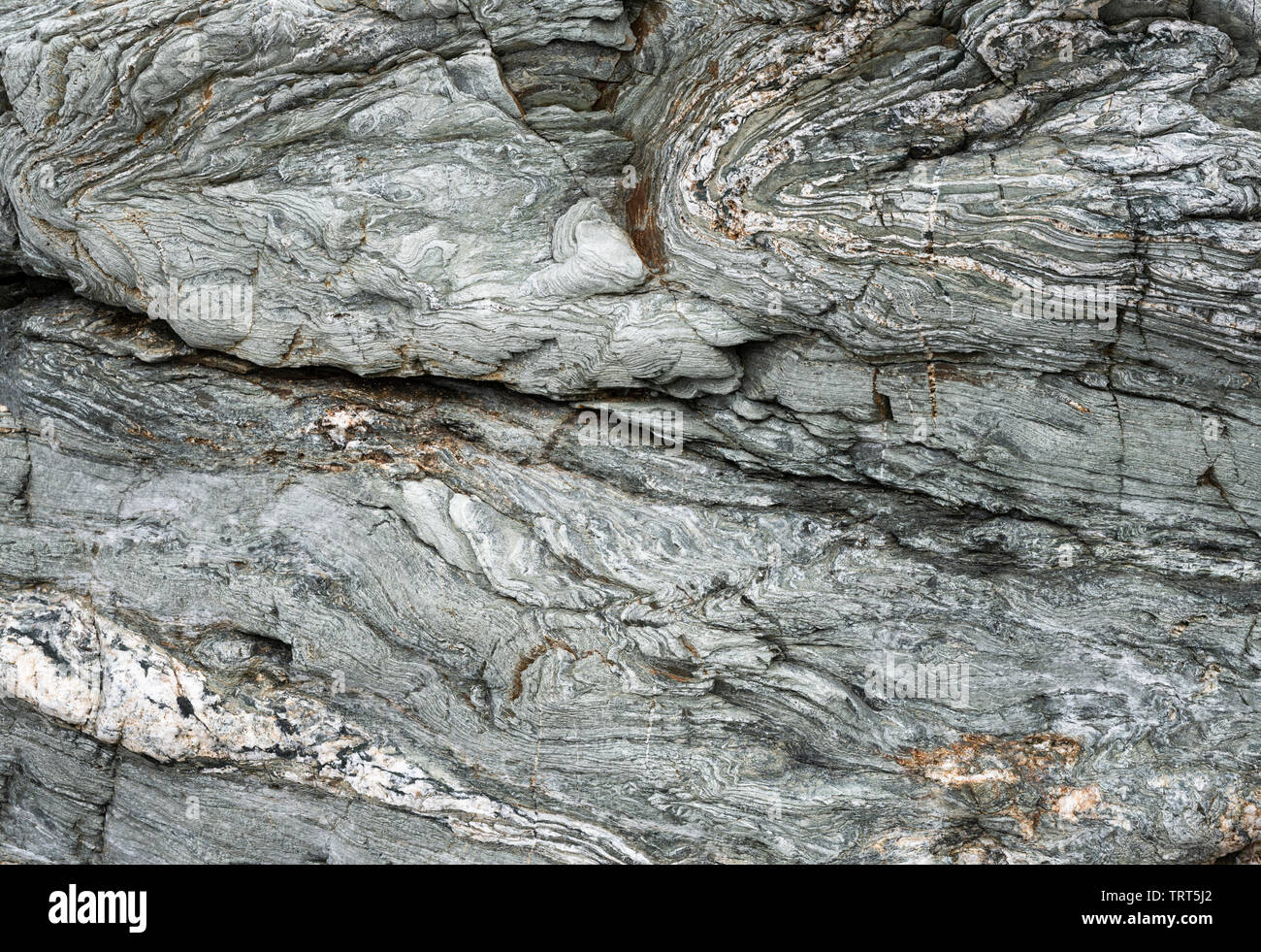 Molto deformato rocce a Trearddur Bay vicino a Holyhead, Anglesey, Galles Foto Stock
