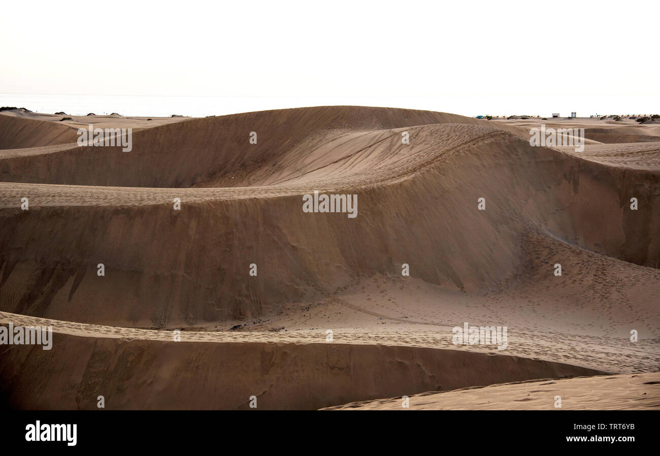 Le Dune di Maspalomas è un unico luogo selvaggio nelle isole Canarie Foto Stock