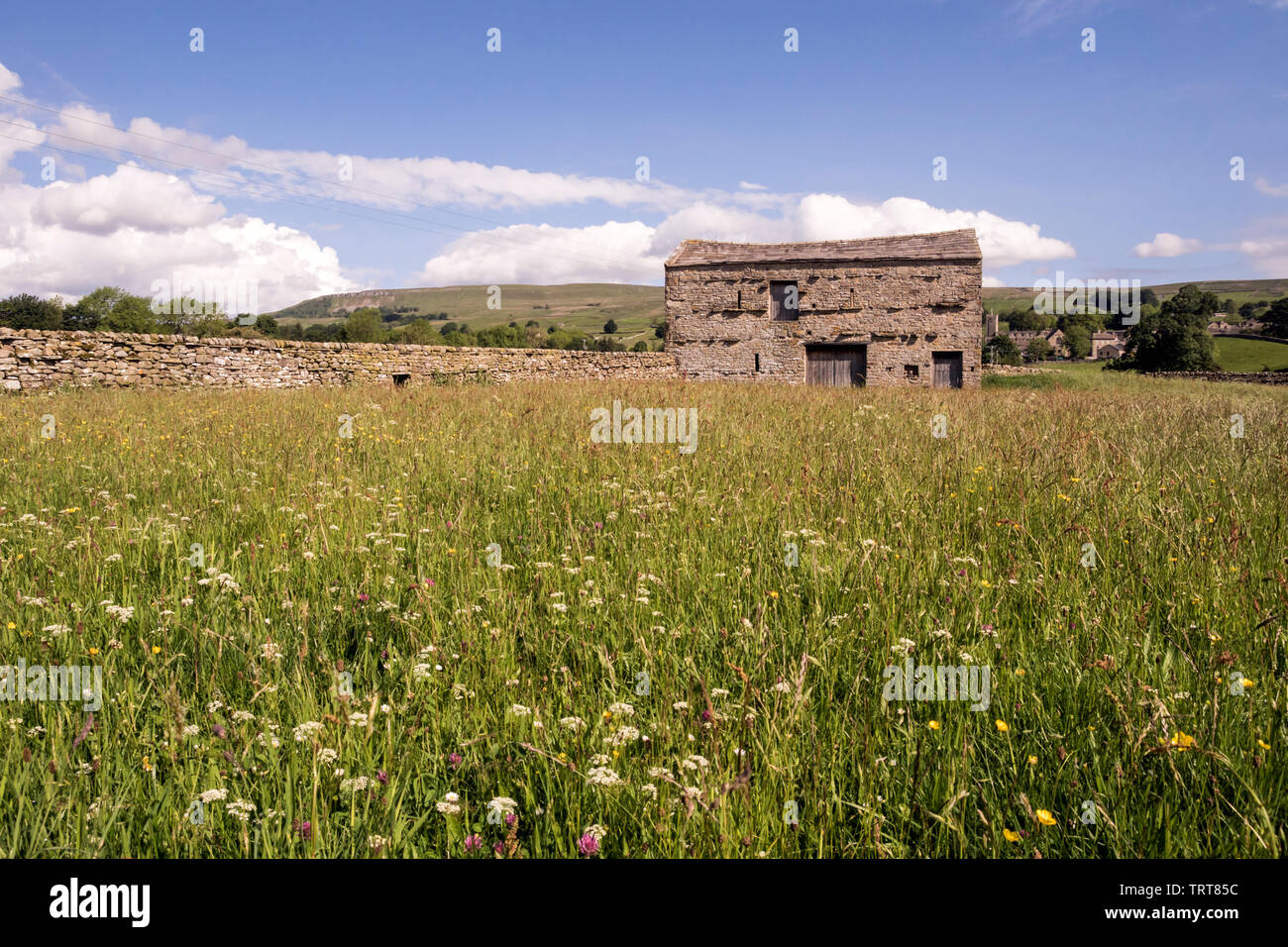 Wensleydale, vicino Askrigg Foto Stock