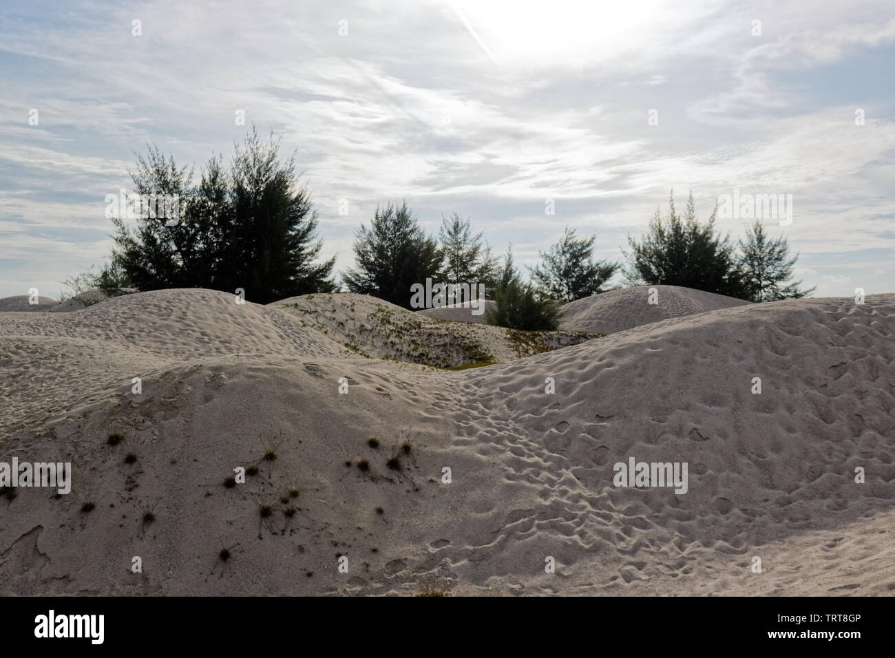 Le dune di sabbia bianca di Malacca Malaysia Foto Stock