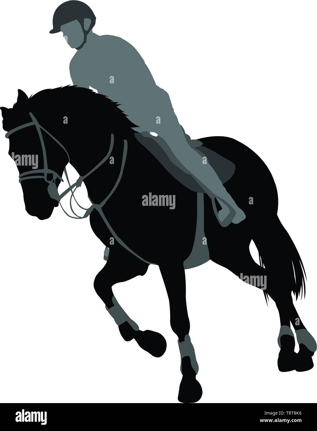 Equitazione,sport equestri silhouette - vettore Illustrazione Vettoriale