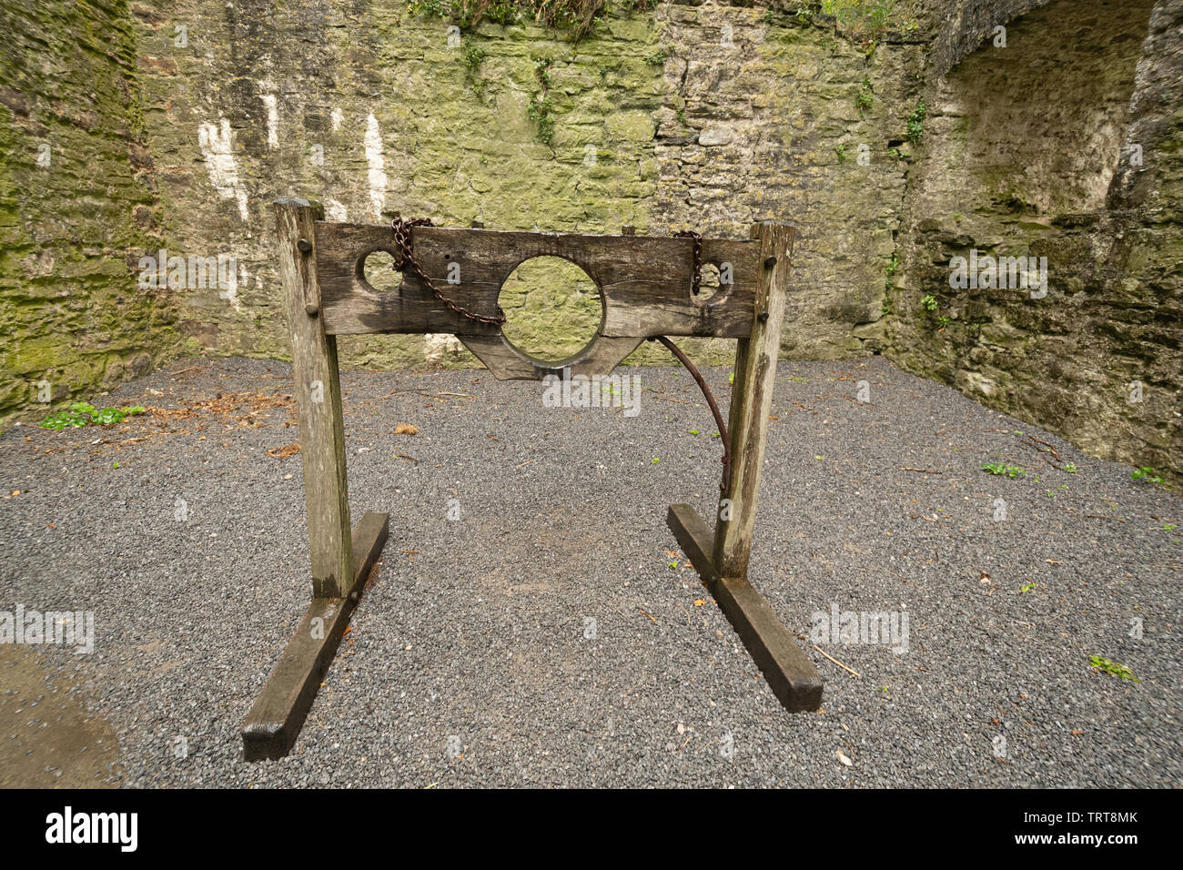 Una gogna (telaio in legno con fori per la testa e le mani in cui i trasgressori sono stati imprigionati e pubblicamente abusato, Carew Castle, Pembrokeshire, Galles Foto Stock