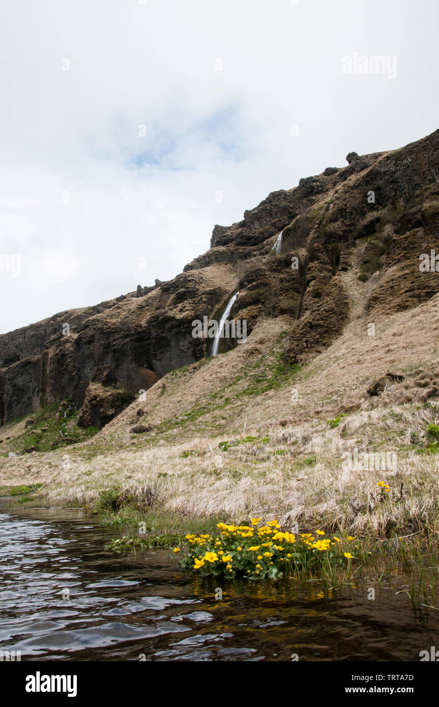 Uno di un certo numero di visualizzazioni del Seljalandsfoss cascata, Islanda, dove si può camminare dietro la cascata. Foto Stock