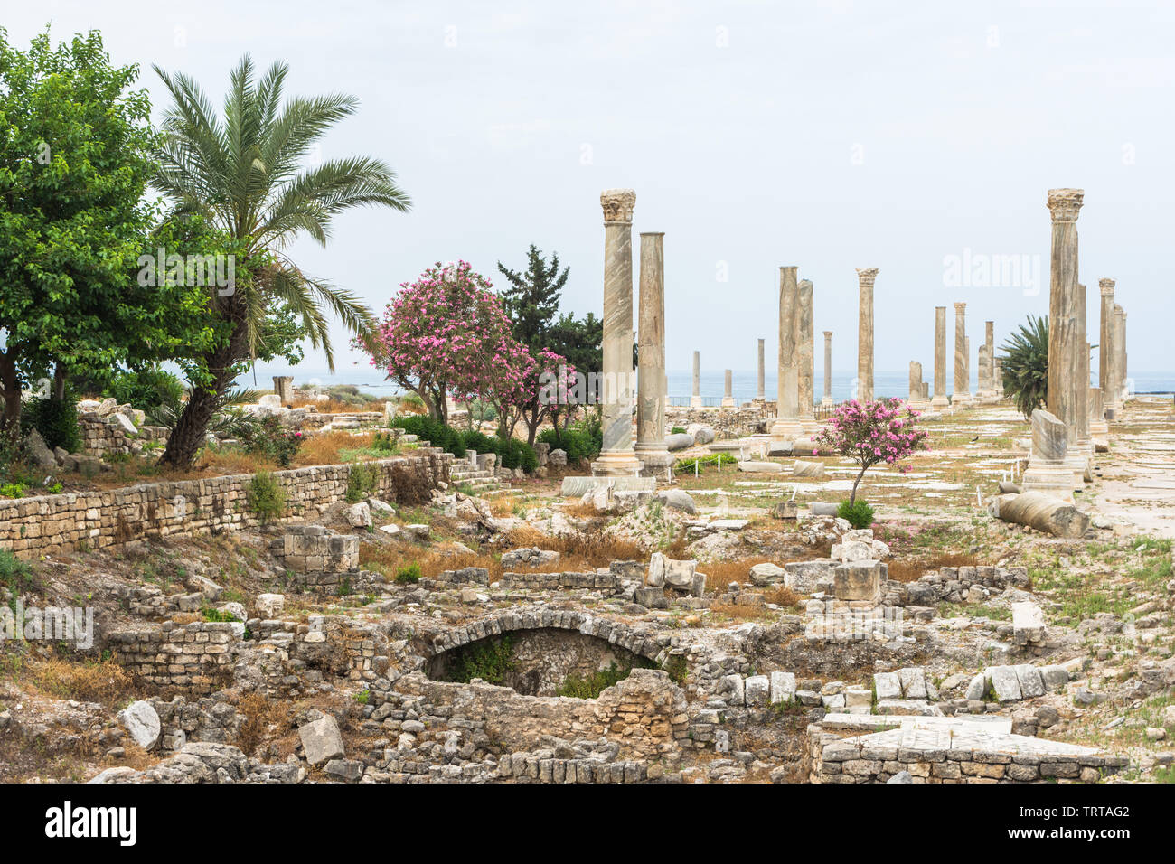 Colonnato in strada al Mina sito archeologico, pneumatico, Libano Foto Stock