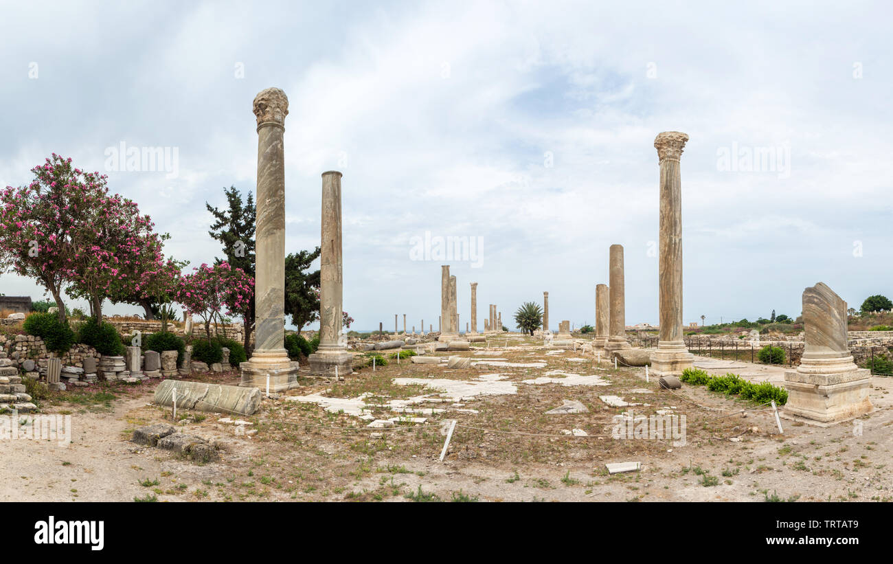 Colonnato in strada al Mina sito archeologico, pneumatico, Libano Foto Stock
