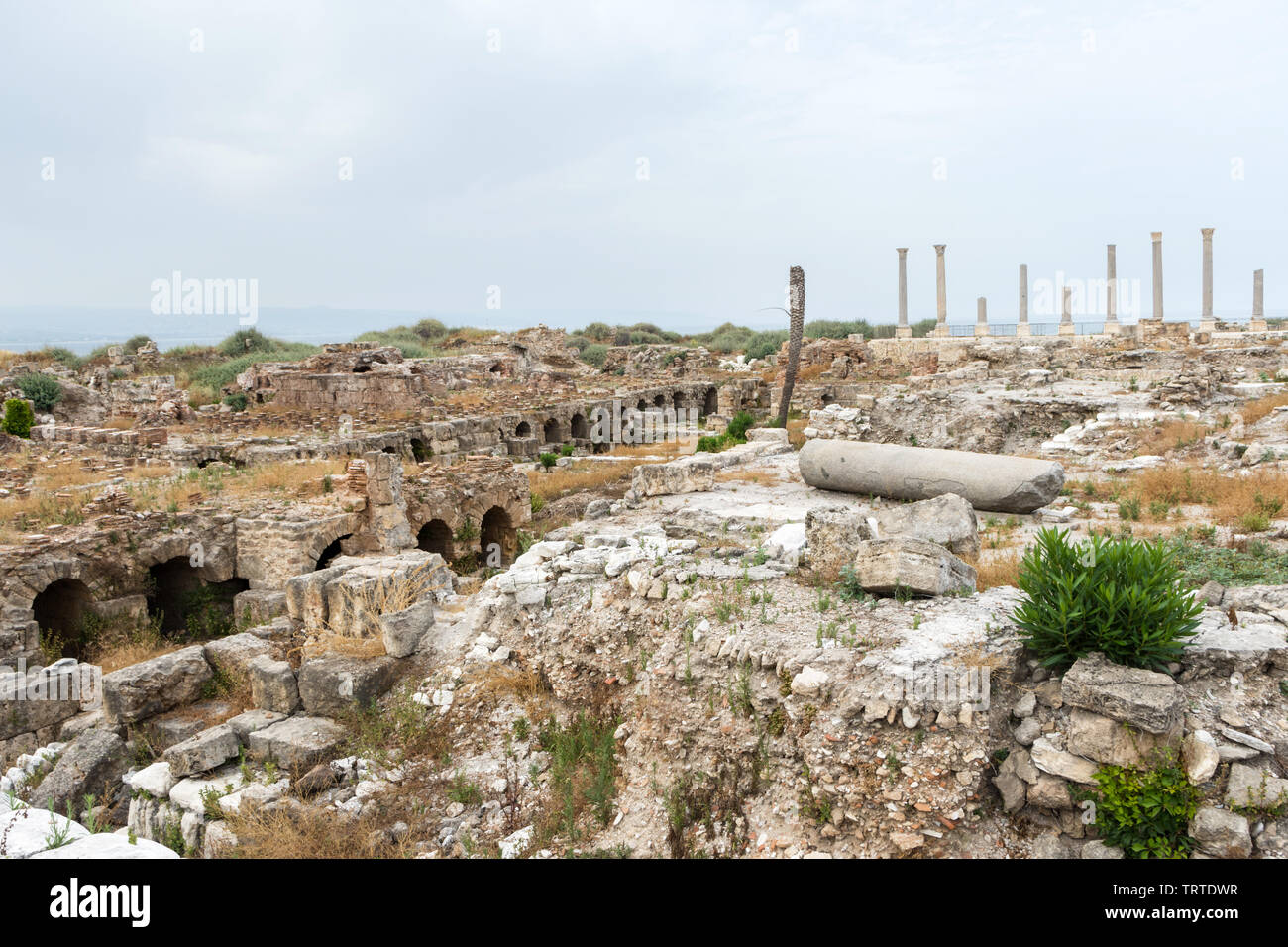 Roman bathhouse e colonne in Al Mina sito archeologico, pneumatico, Libano Foto Stock