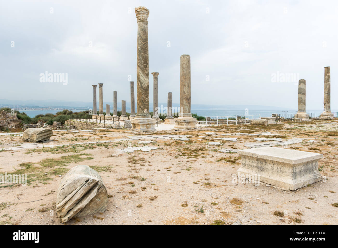 Colonnato in strada al Mina sito archeologico, pneumatico, Libano Foto Stock