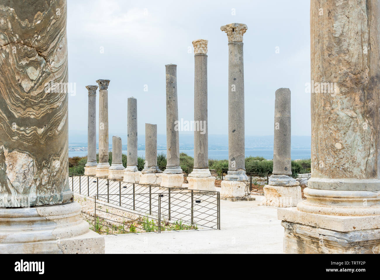 Nove colonne di granito parte del palaestra in Al Mina sito archeologico, pneumatico, Libano Foto Stock