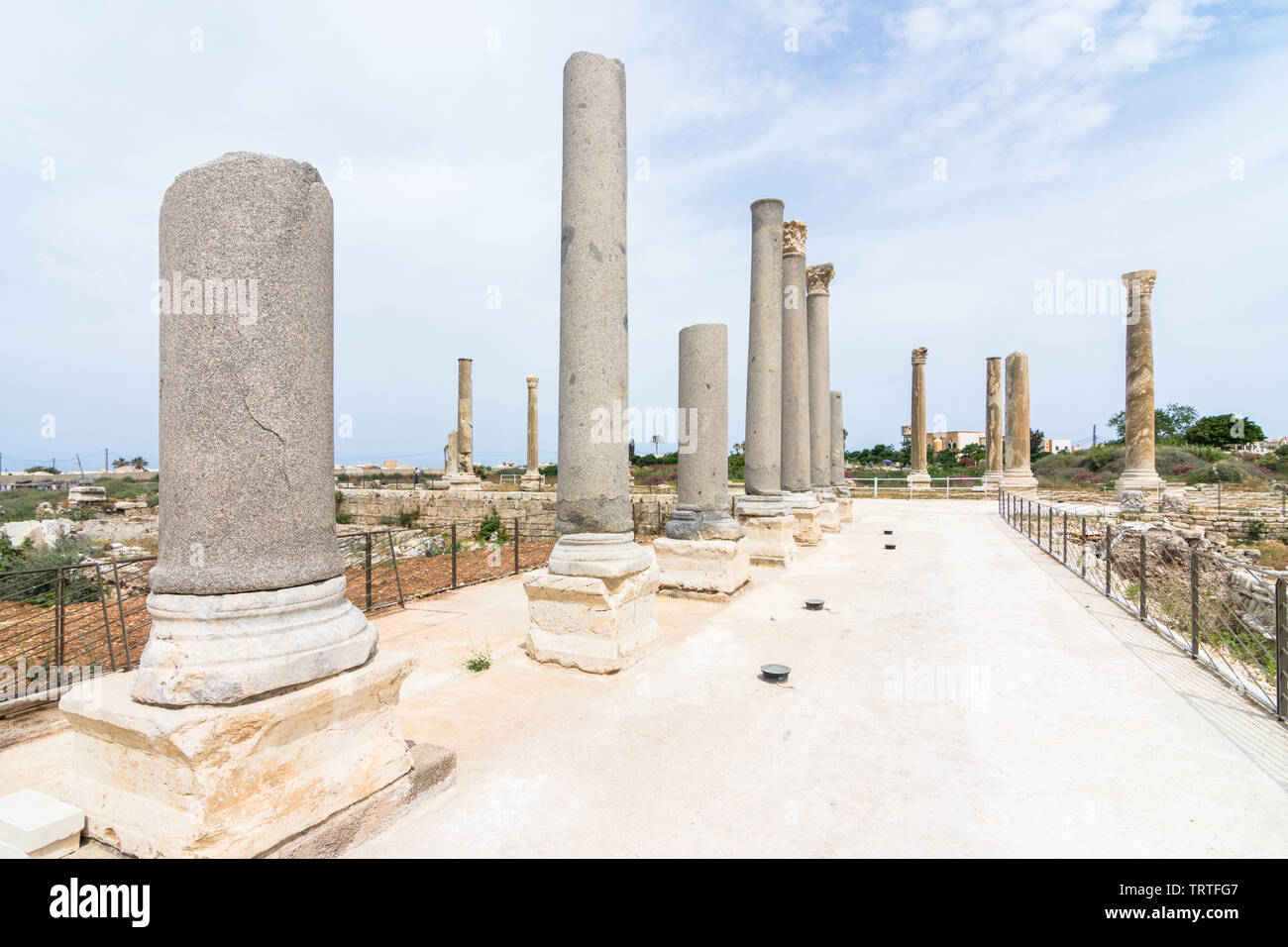Nove colonne di granito parte del palaestra in Al Mina sito archeologico, pneumatico, Libano Foto Stock