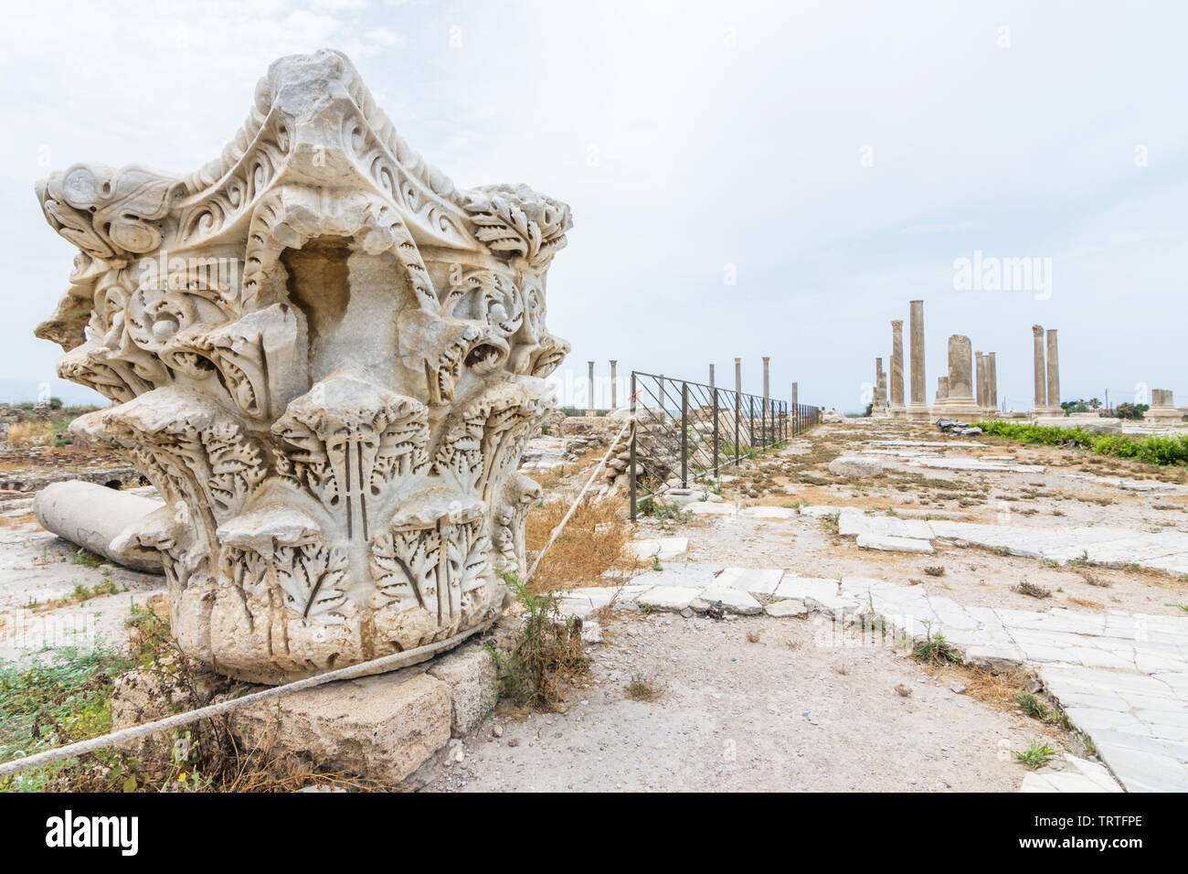 Romano Colonna corinzio capitale a lato della strada a mosaico, Al Mina sito archeologico, pneumatico, Libano Foto Stock