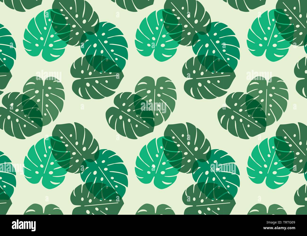 Monstera foglia tropicale disegno vettoriale nel verde della tavolozza dei colori Illustrazione Vettoriale