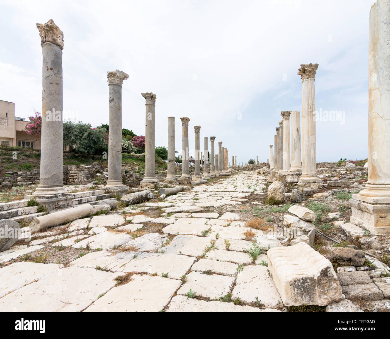 Portico romano in Al Mina sito archeologico, pneumatico, Libano Foto Stock