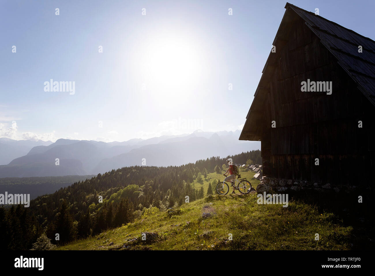 Donna in bicicletta tra le cabine in legno su un prato pascolo, Zajmniki, Slovenia Foto Stock