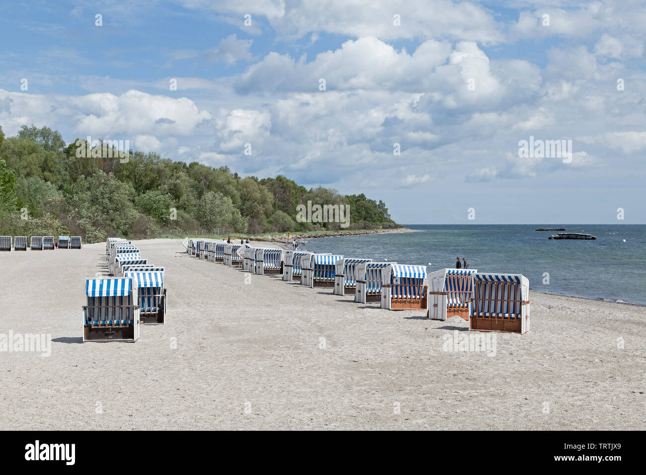 Spiaggia, Weisse Wiek, Boltenhagen, Meclemburgo-Pomerania Occidentale, Germania Foto Stock