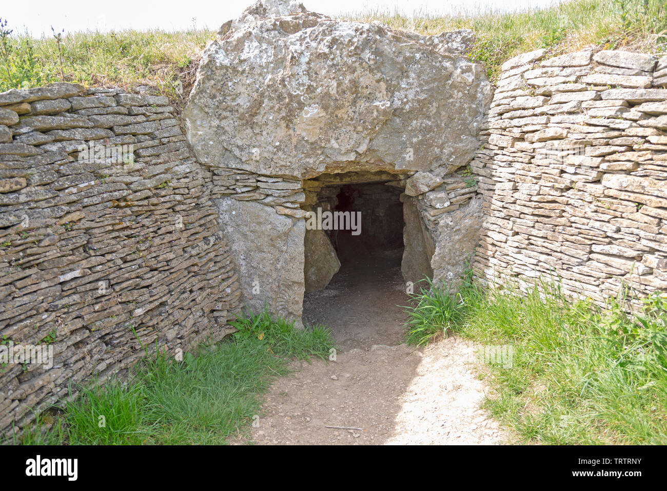 Stoney Littleton long barrow neolitico chambered tomba, Wellow, Somerset, Inghilterra, Regno Unito Foto Stock