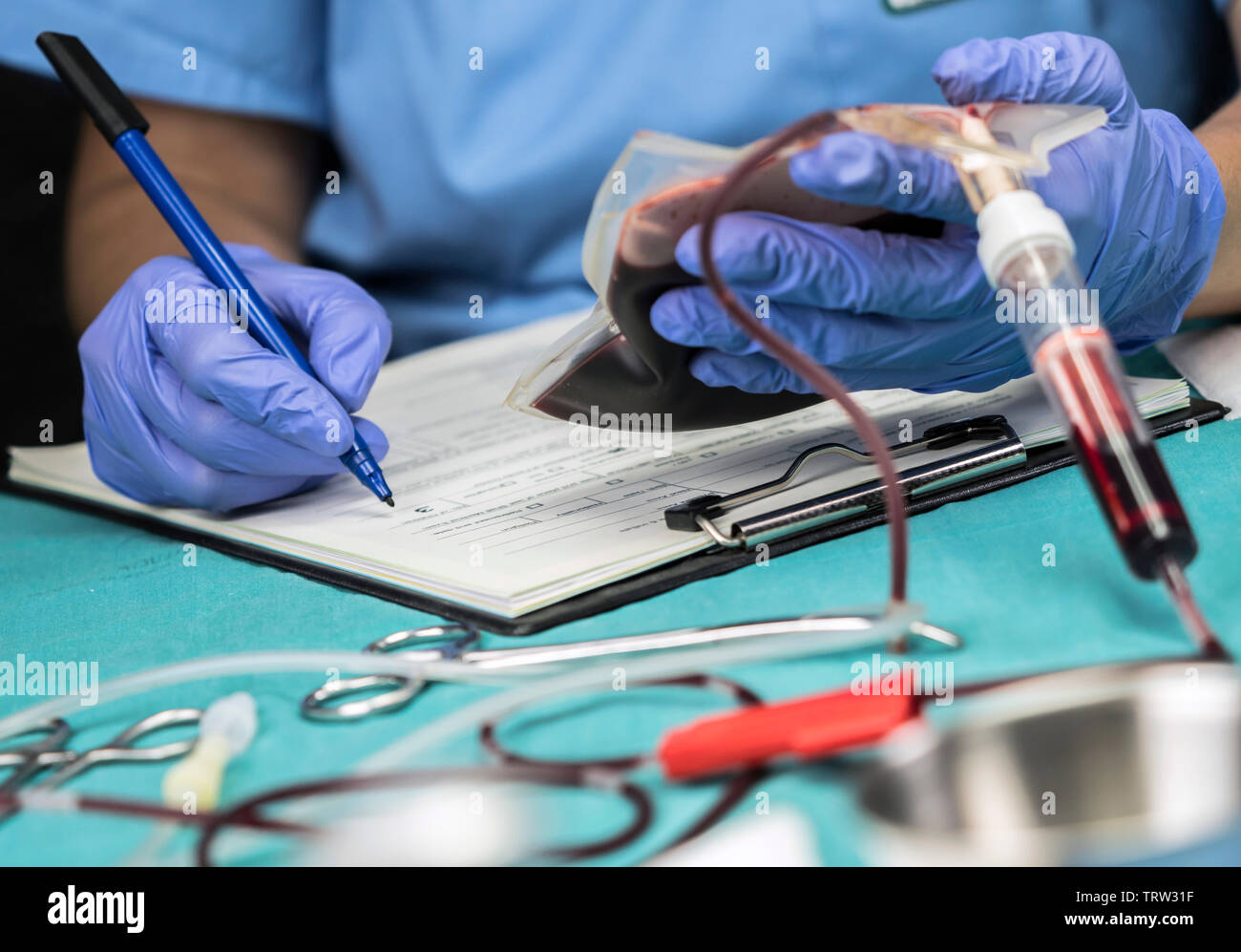 Un infermiere prende i dati da una sacca di sangue in un ospedale, immagine concettuale Foto Stock