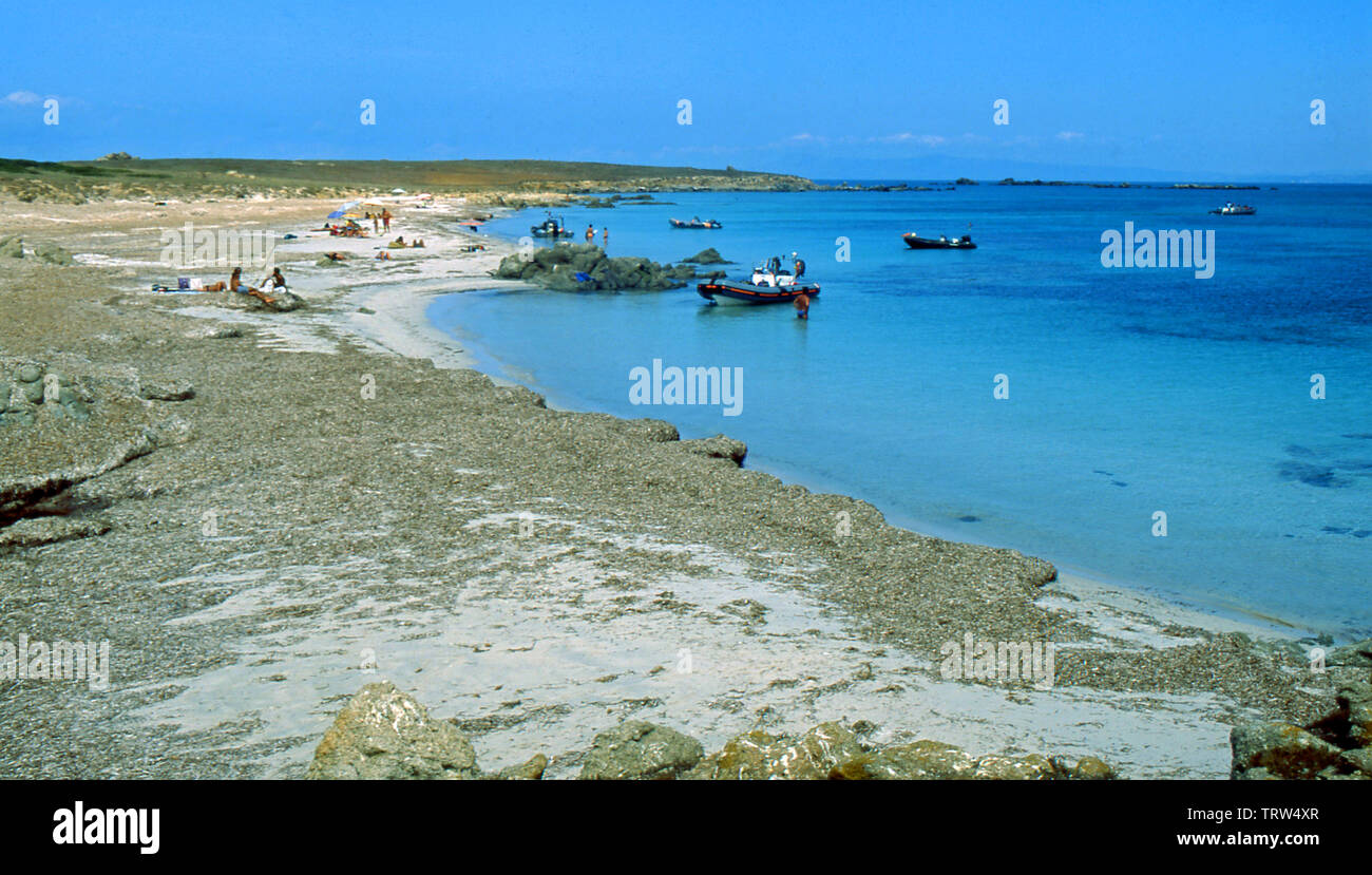 L'Isola di Mal di Ventre, Sardegna, Italia Foto Stock