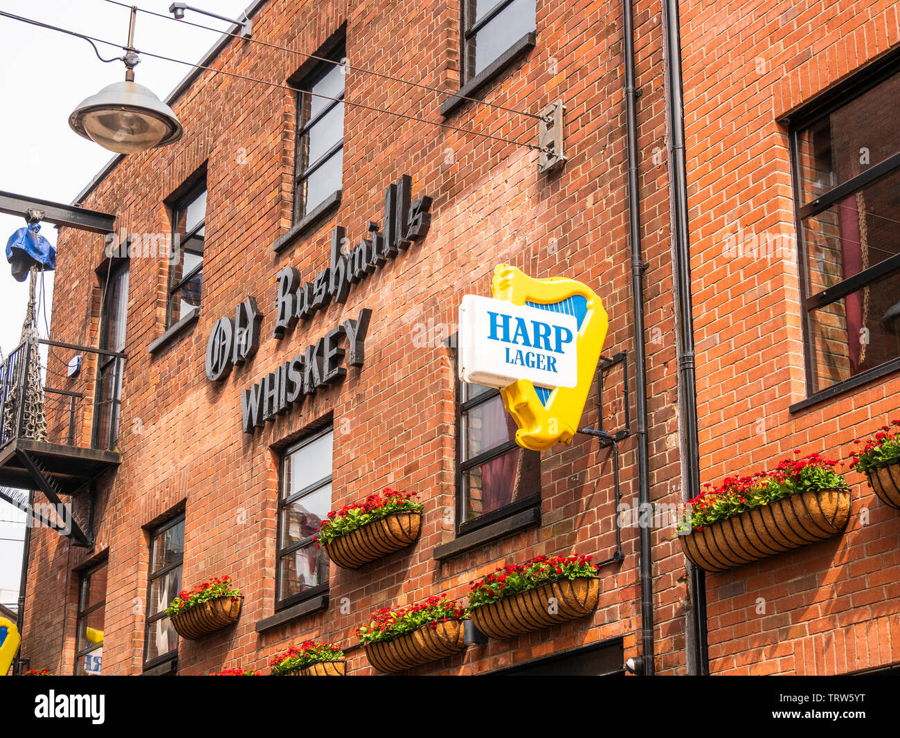 L'Arpa Bar e ristorante, Hill Street, Belfast Foto Stock