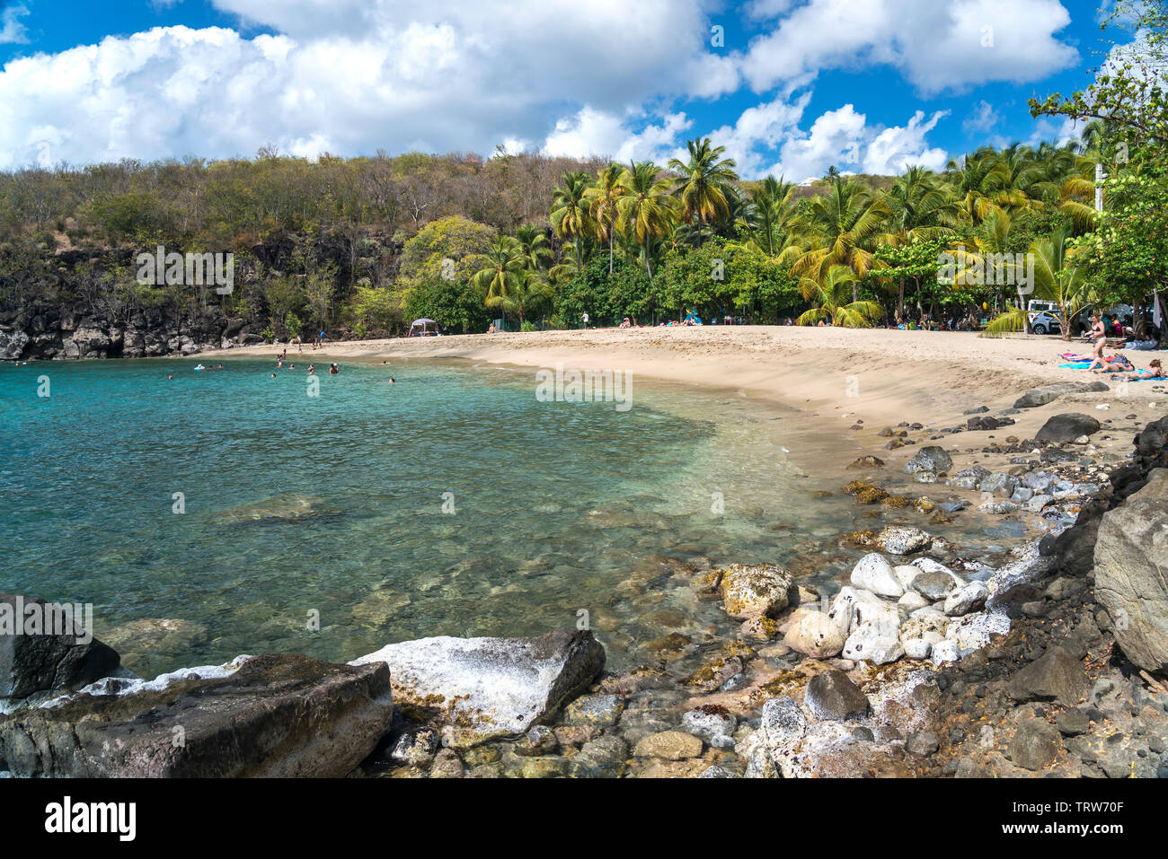 Der Strand Plage de Petite Anse bei Deshaies, Basse-Terre Guadalupa, Frankreich | Plage de Petite Anse Beach, Basse-Terre Guadalupa, Francia Foto Stock