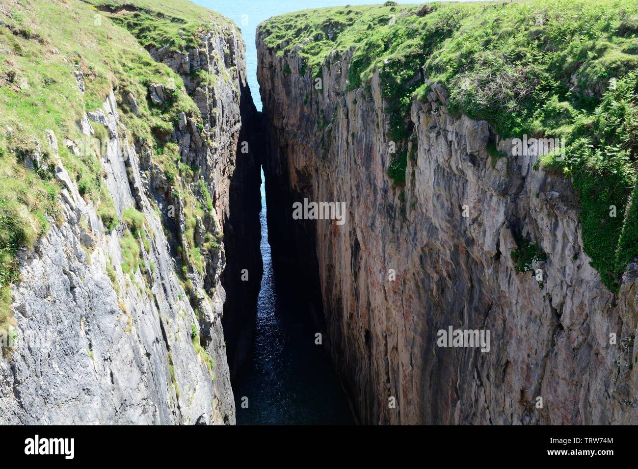 Huntsmans Salto una profonda voragine stretta nel carbonifero calcare del Pembrokeshire Coast National Park Bosherston Galles Cymru REGNO UNITO Foto Stock