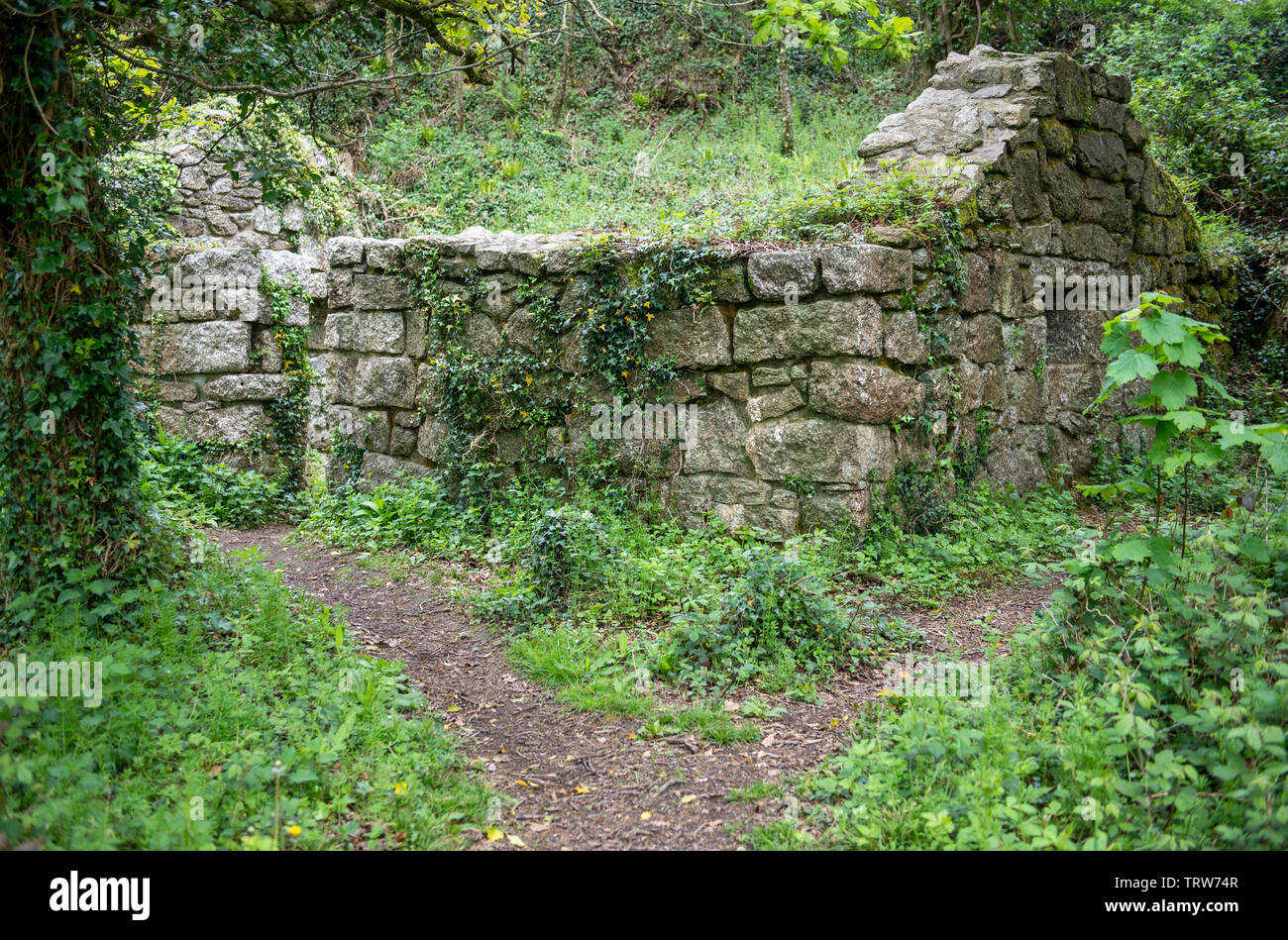 Negligente del XIX secolo edificio industriale nella valle Luxulyan, Cornwall, Regno Unito Foto Stock
