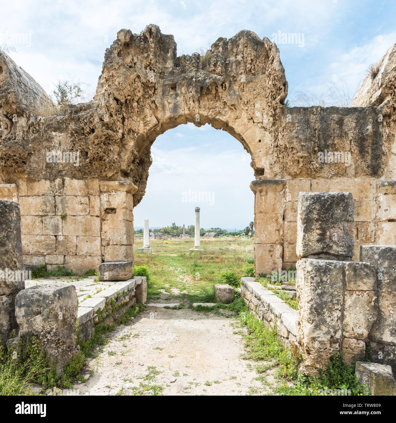 Il Hippodrome visto da uno degli acquedotti' archi, Al Bass sito archeologico, pneumatico, Libano Foto Stock