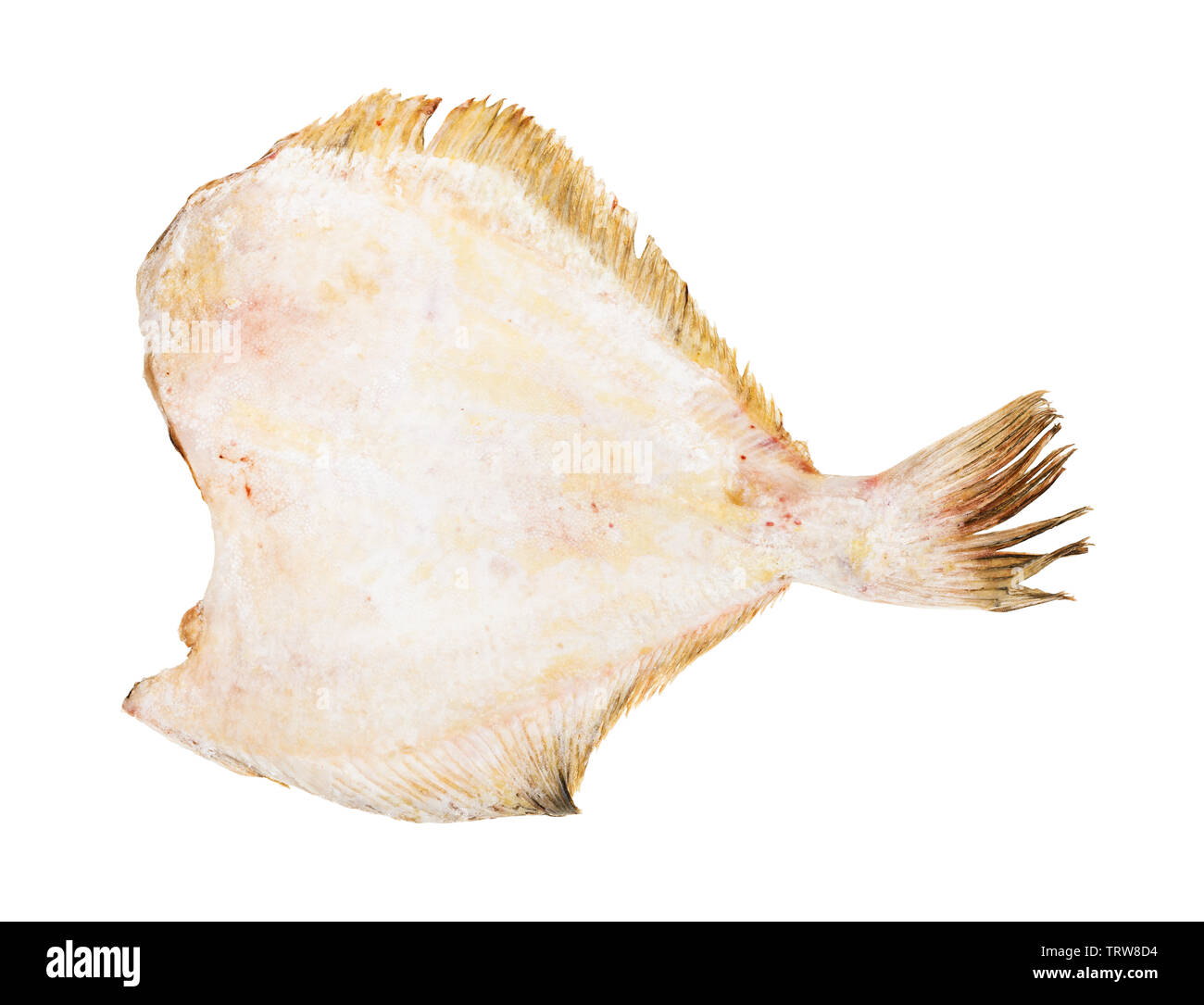 Materie congelati decapitati passera pianuzza Pesce isolato su sfondo bianco Foto Stock