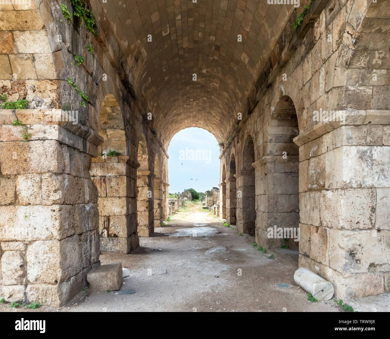 Il passaggio al di sotto delle sedi all'Ippodromo, Al Bass sito archeologico, pneumatico, Libano Foto Stock
