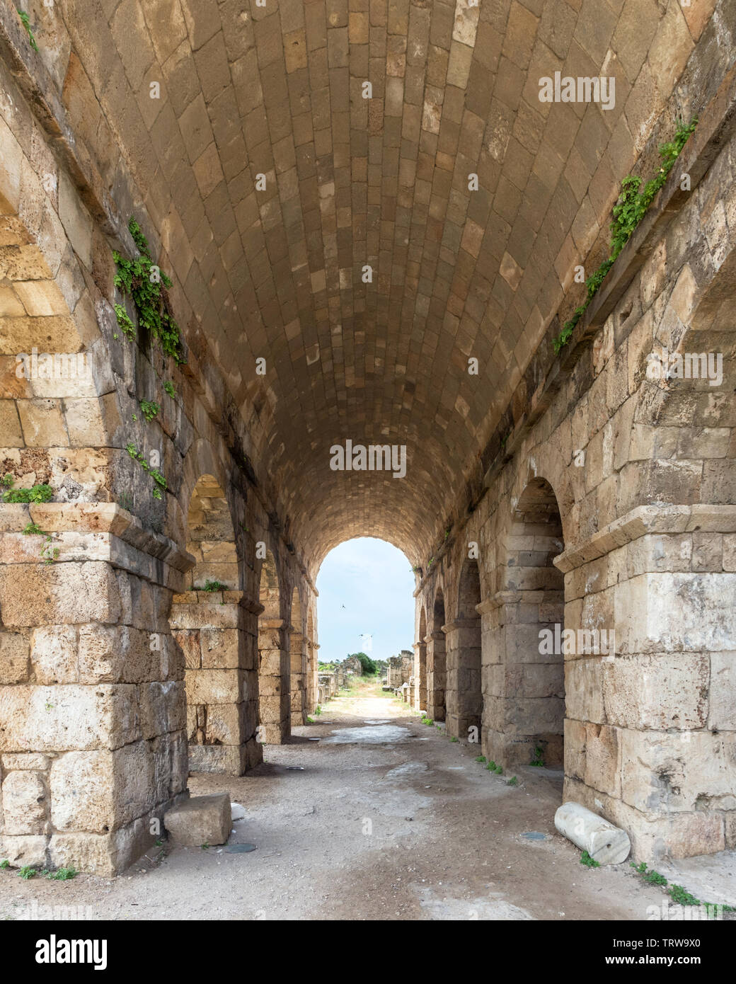 Il passaggio al di sotto delle sedi all'Ippodromo, Al Bass sito archeologico, pneumatico, Libano Foto Stock