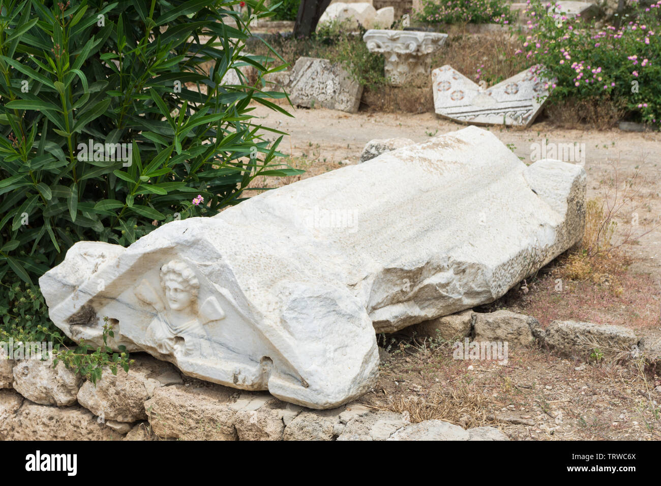 Rilievo su di un sarcofago in basso al sito archeologico nel cimitero, pneumatico, Libano Foto Stock