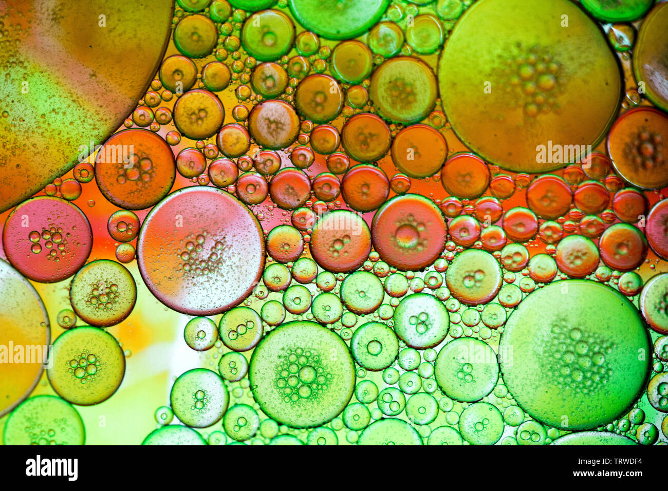 Abstract colorate bolle organico macro texture pattern Foto Stock