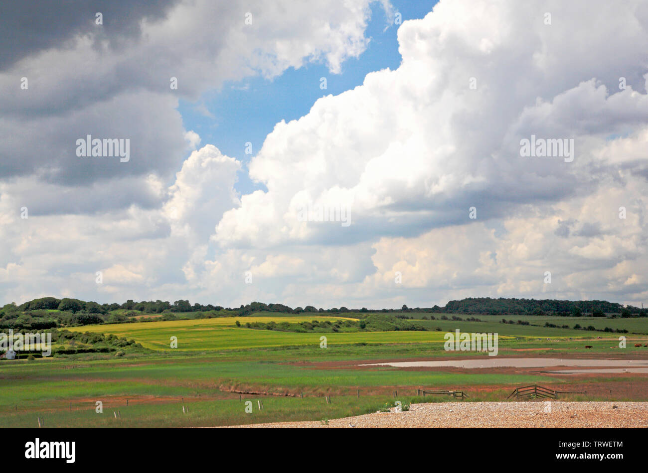 Una vista della campagna a nord di Norfolk dalla costiera shingle ridge a Salthouse, Norfolk, Inghilterra, Regno Unito, Europa. Foto Stock