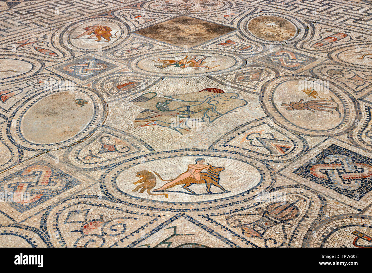 Variopinto mosaico pavimentale nella casa di Orfeo, parte dell'antica città romana Volubilis, Marocco. Il mosaico raffigura le fatiche di Ercole. Foto Stock