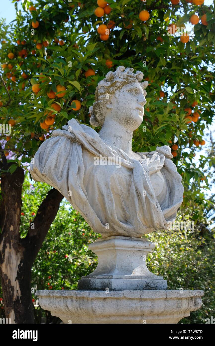 Statua con OrangeTree Foto Stock
