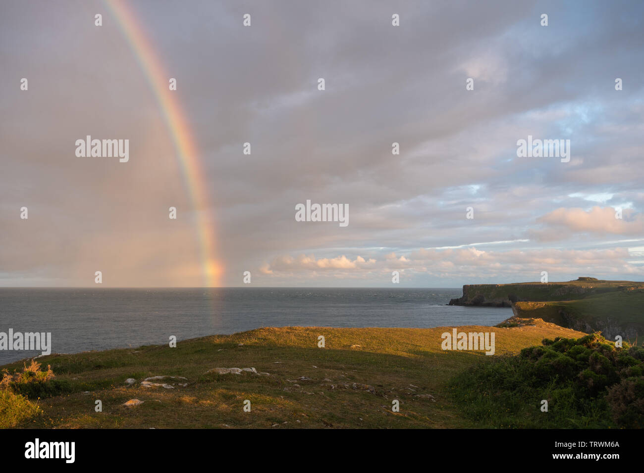Ampia oasi in una serata estiva con un arcobaleno sul mare, Pembrokeshire Coast, Wales, Regno Unito Foto Stock