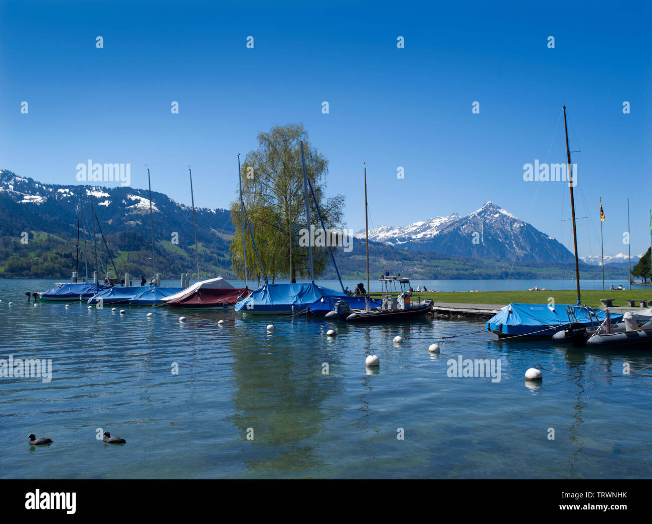 Il lago di Thun con niesen Foto Stock