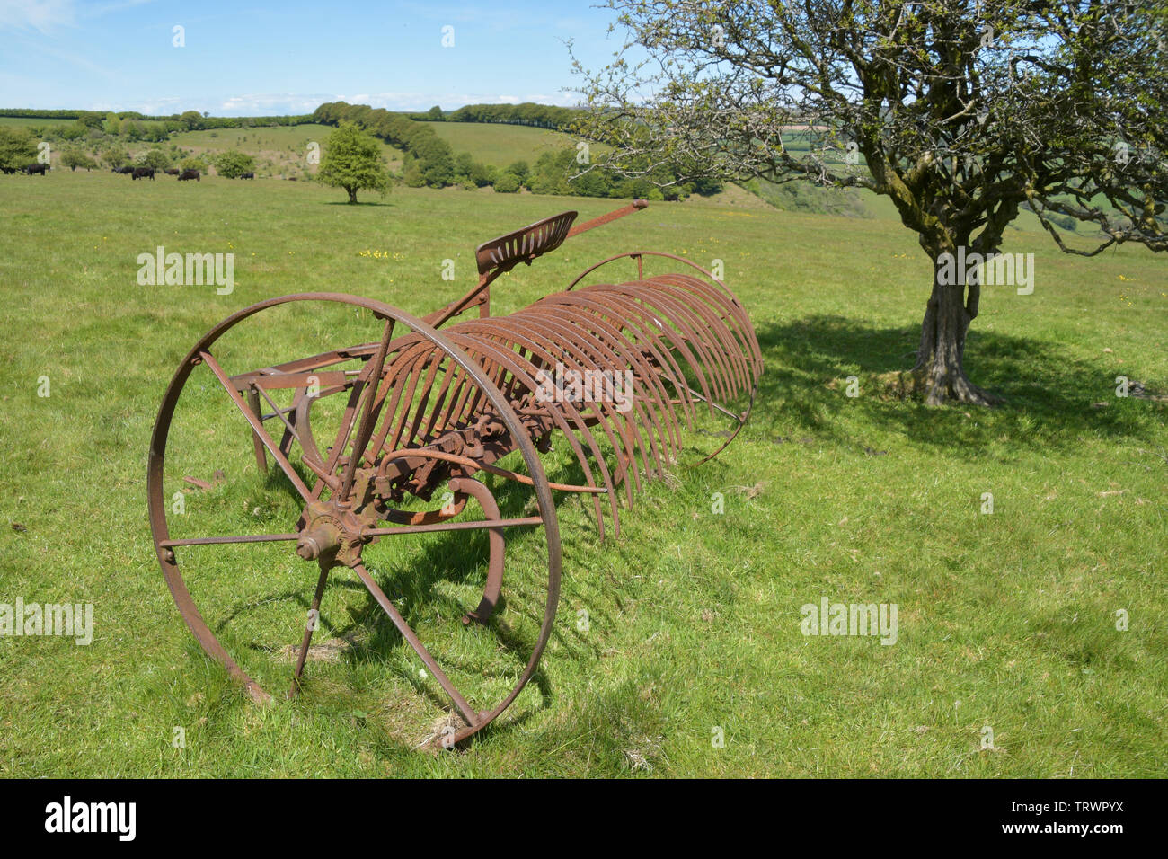 Rastrello fieno si ritirò in un campo su Exmoor, convertito da cavallo al trattore alimentato. Exford, Somerset REGNO UNITO Foto Stock