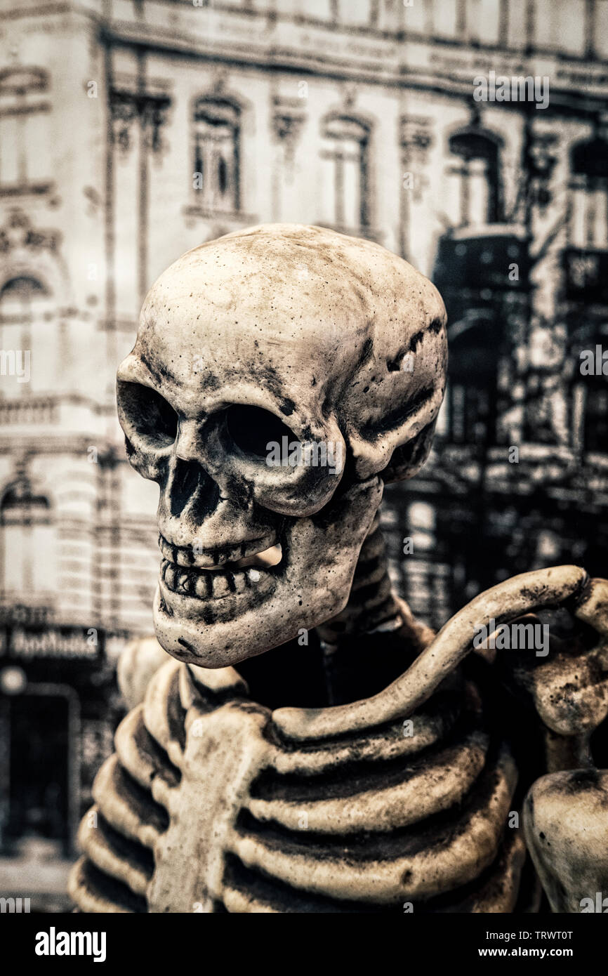 Cranio umano e lo scheletro di fantoccio Foto Stock