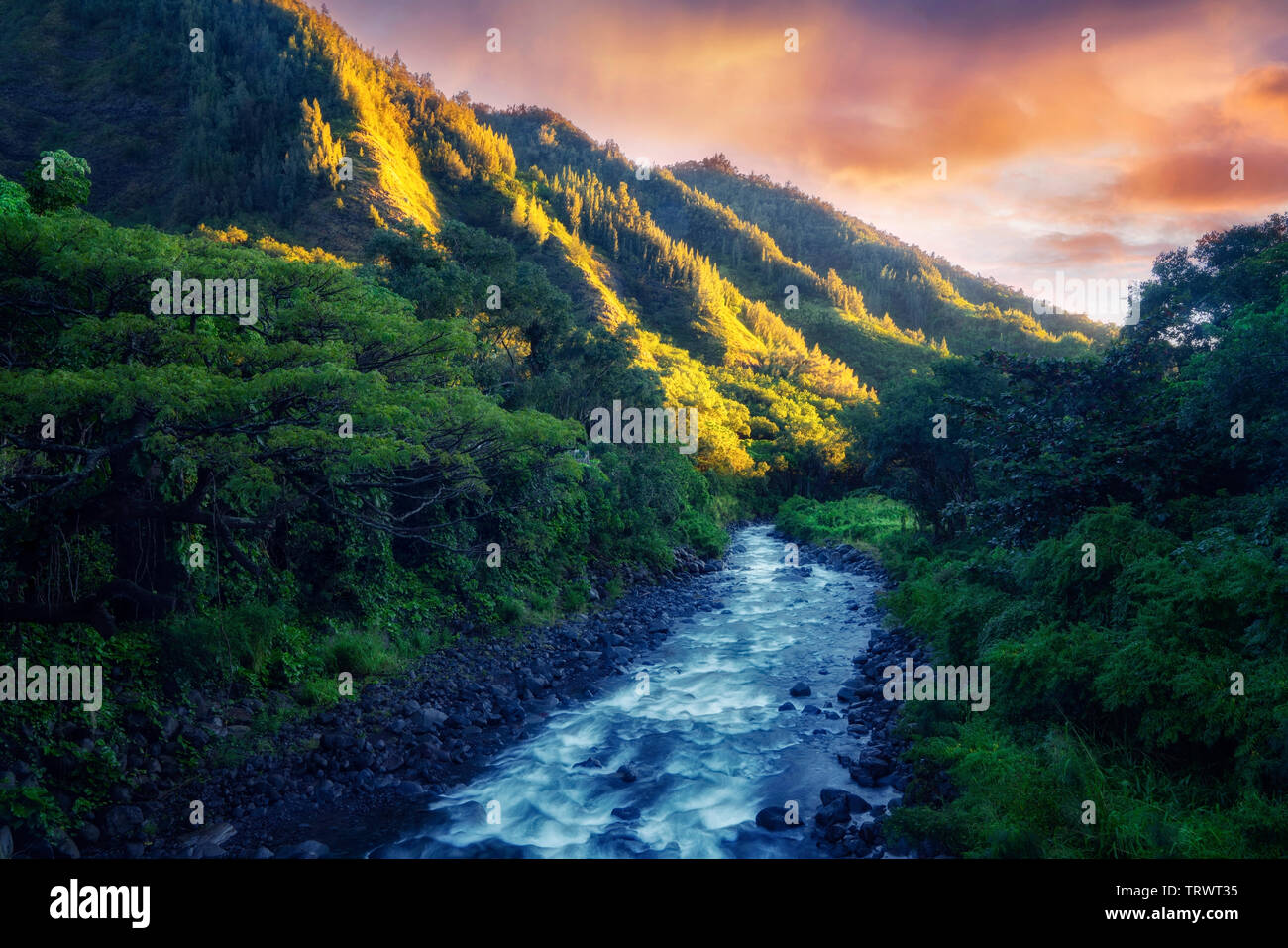 Iao Stream con la prima luce del giorno. Mauai, Hawaii Foto Stock