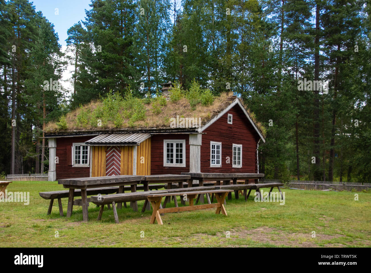 Tradizionale casa grassroof a Elverum in Norvegia / Scandinavia Foto Stock