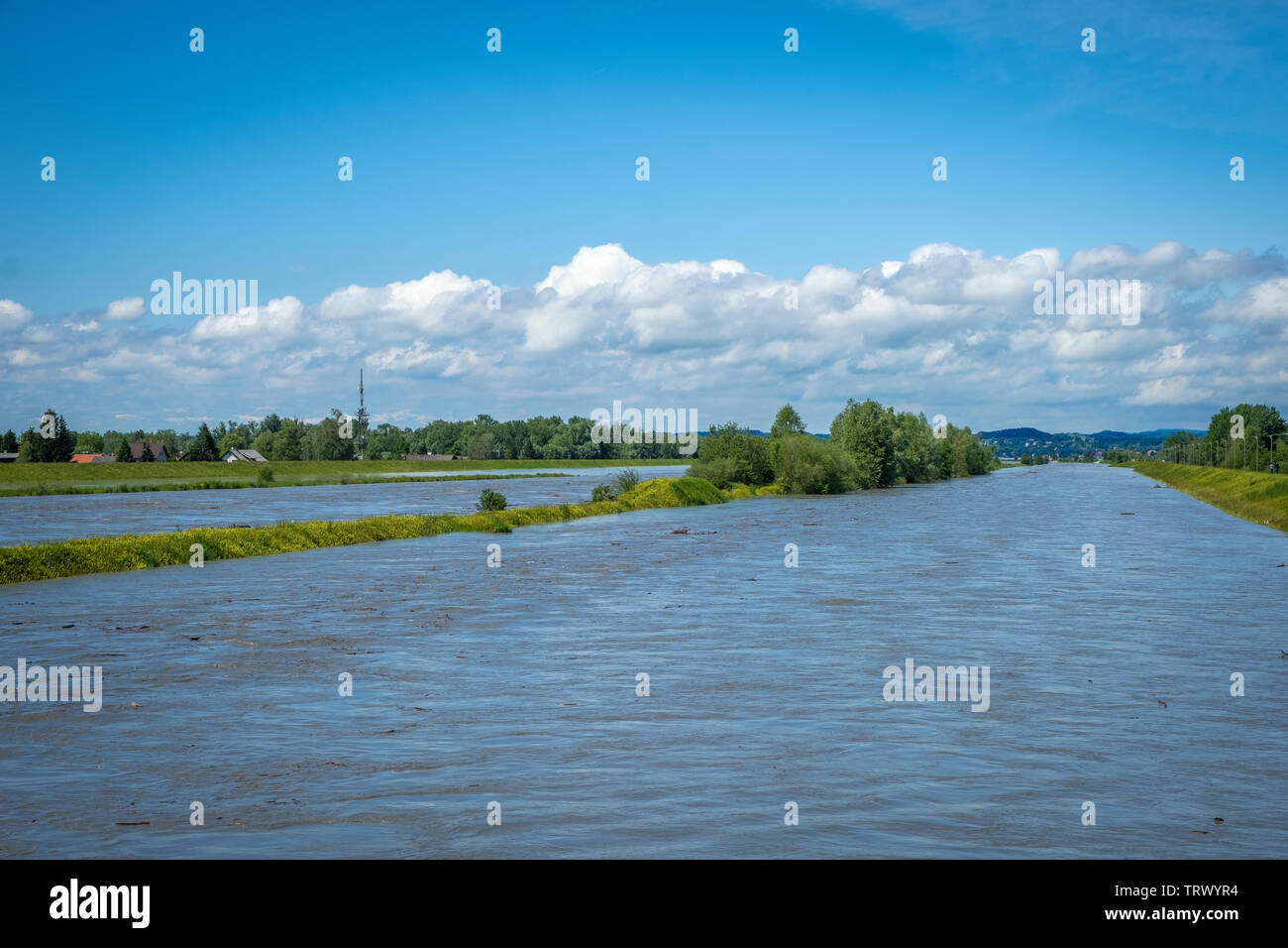 Überschwemmung und Hochwasser am Rhein Foto Stock