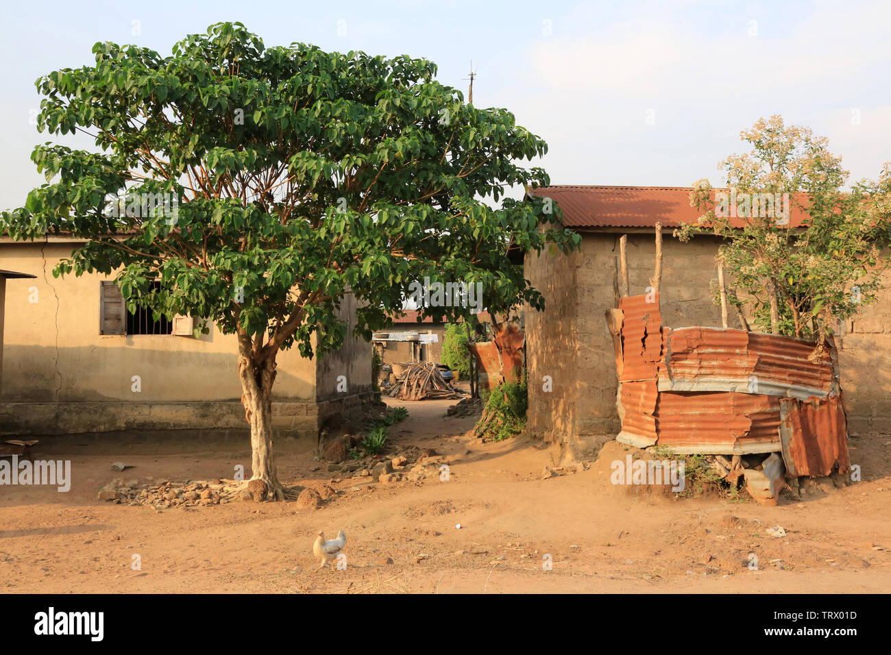Villaggio di Datcha. Datcha Attikpayé. Togo. Afrique de l'Ouest. Foto Stock