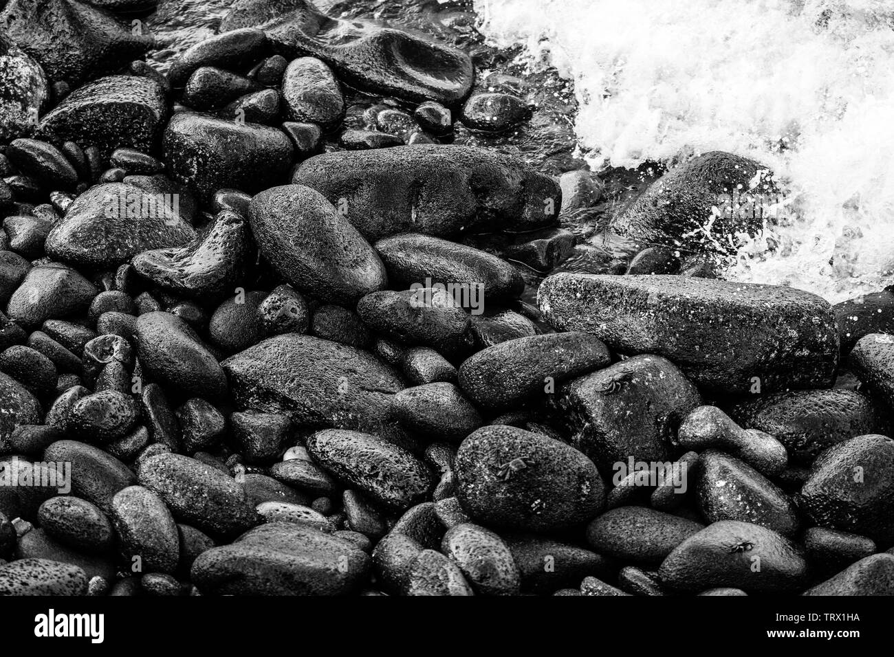 Rocce nere coprono la spiaggia in Hilo, Hawaii, come un'onda entra, sommergendo rocce sotto la sua schiuma bollente. Foto Stock