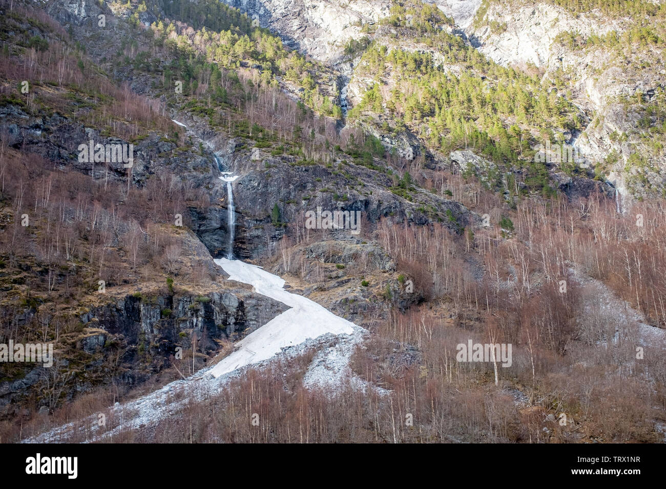 Cascata attraversa la foresta collinare nel fiordo norvegese Foto Stock