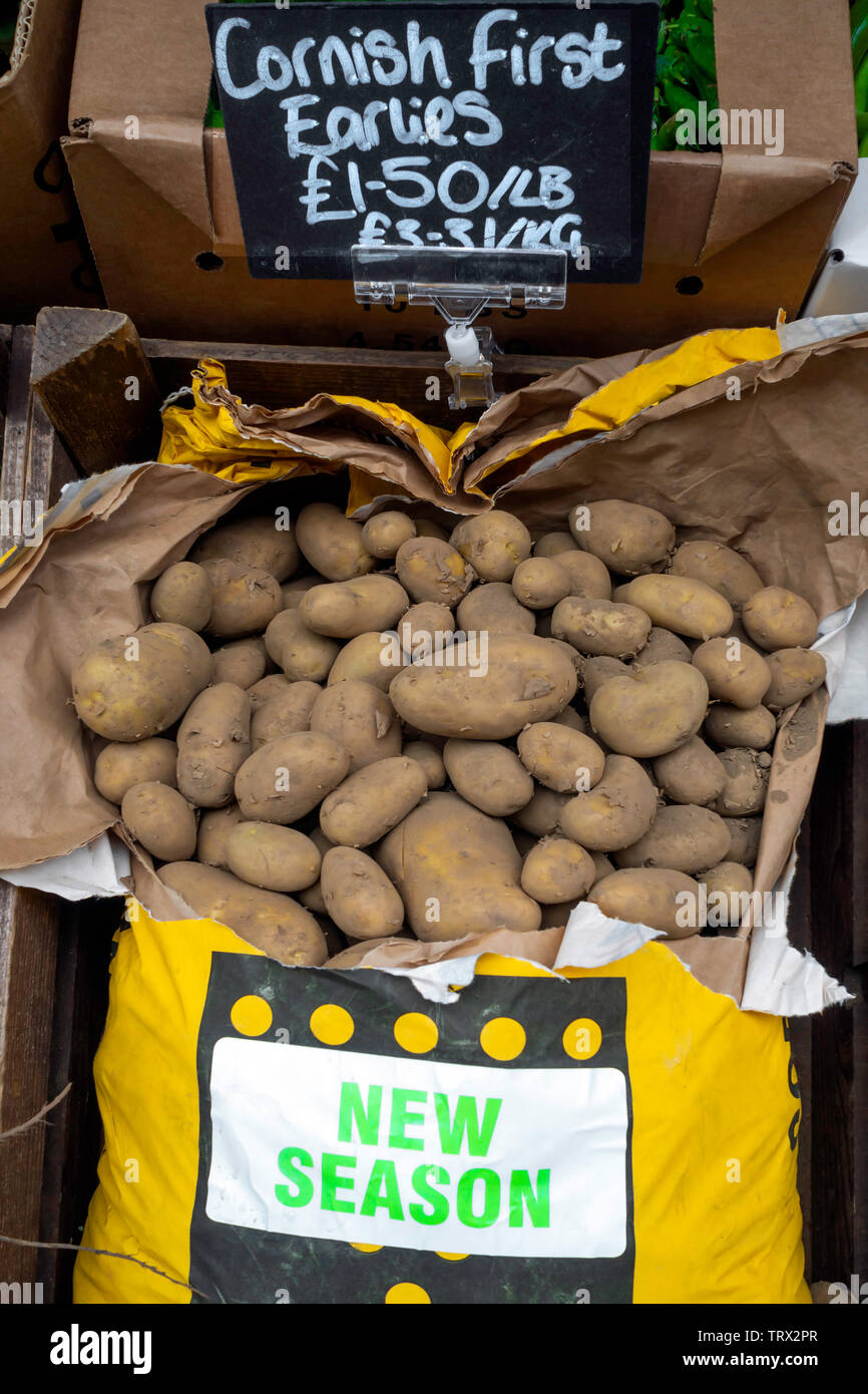 Cornish primo inizio della stagione delle patate di primizia per la vendita in un Yorkshire fruttivendolo shop £1,50 per libbra o £3,31 al chilo Foto Stock